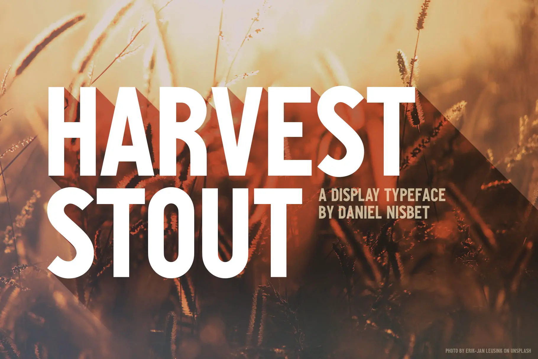 Harvest Stout (!!)