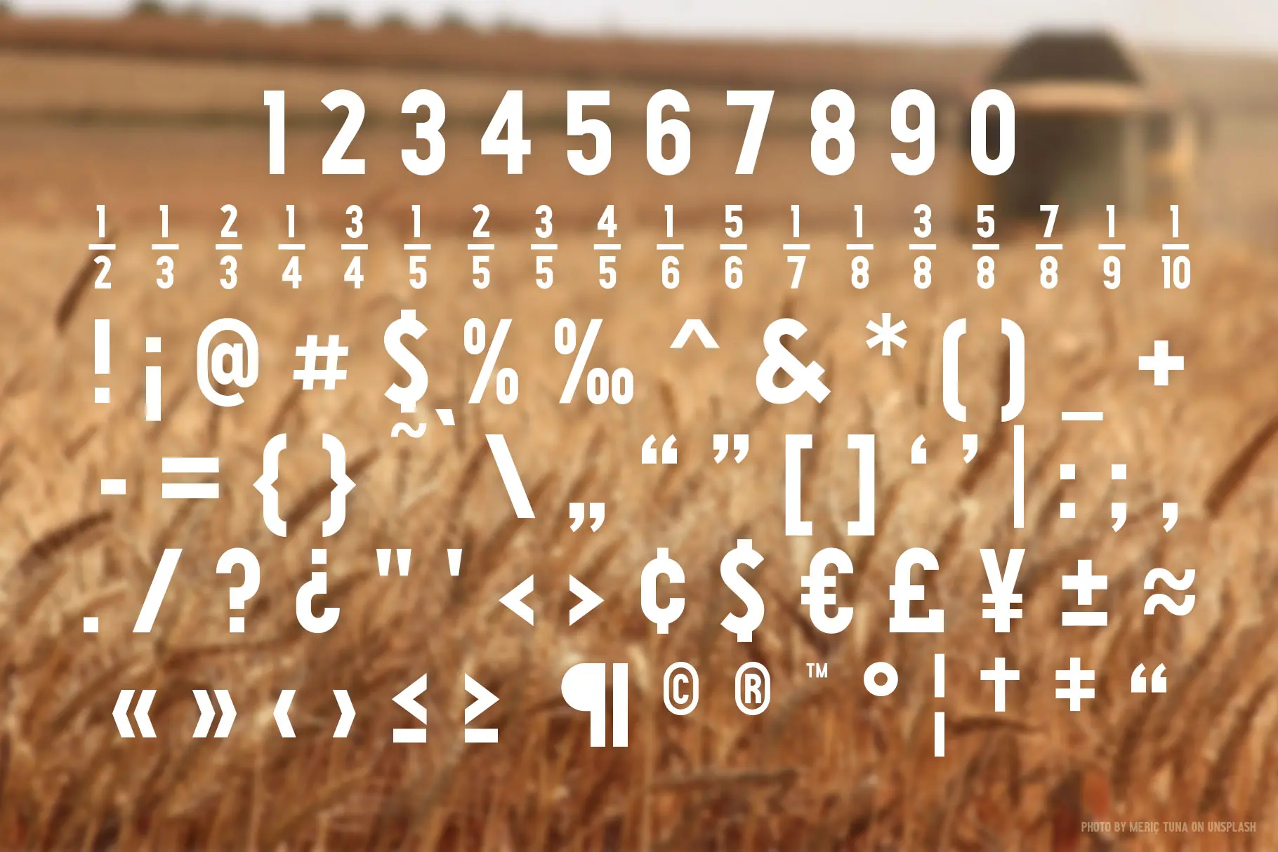 Harvest Stout (!!) specimen 2